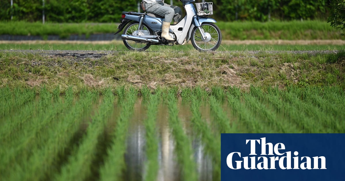 Against the grain: as prices and temperatures rise, can Japan learn to love imported rice?