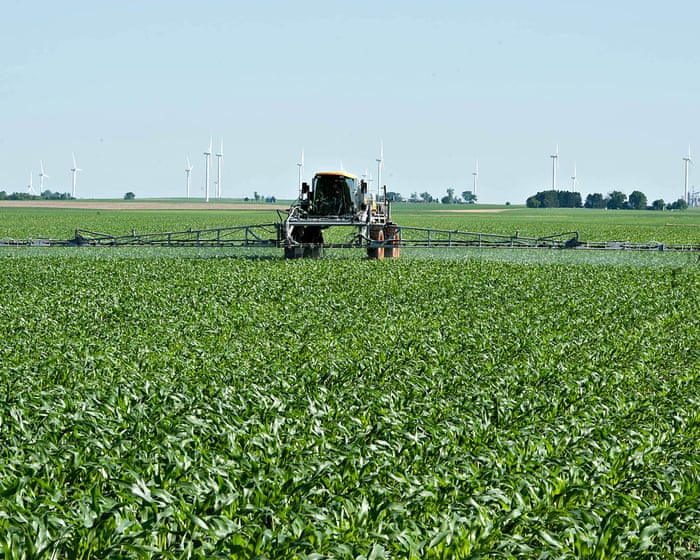 ‘It’s not sustainable’: US farmers reeling as Iran war pushes fertilizer costs up