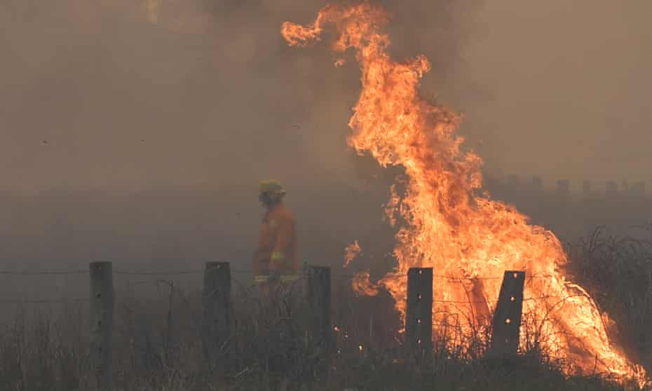 An emergency worker near a spot fire in the Bunyip state park, Victoria.