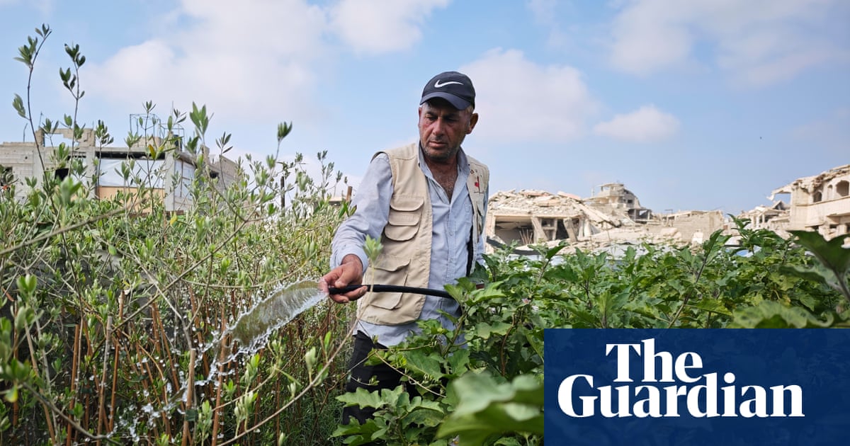 On scraps of land and under constant threat, Gaza farmers struggle to survive