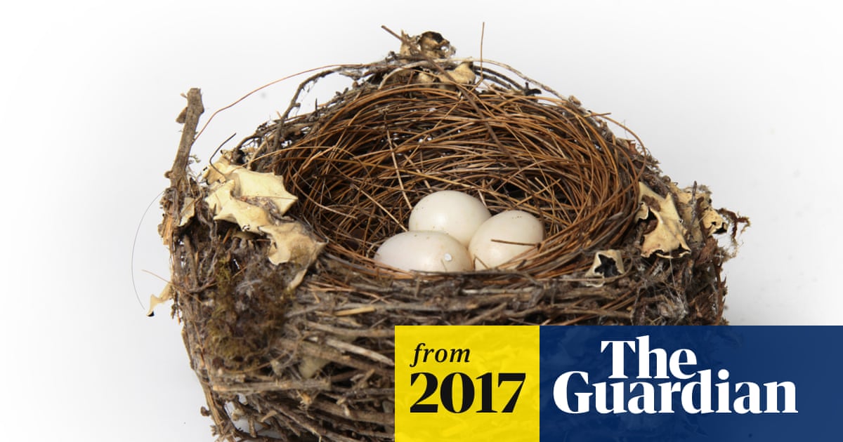 Is Bird Nest Good for Health: Surprising Benefits Revealed