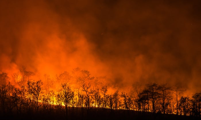 We Have A Once In Century Chance Naomi Klein On How We Can Fight