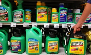 Glyphosate is the core ingredient in Monsanto’s $4.75bn a year RoundUp weedkiller brand.