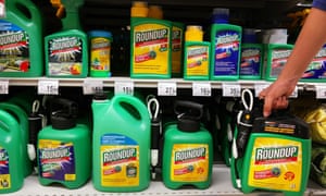 Formulated weedkillers, like Monsanto’s widely-used Roundup, leave residues in food and water, as well as public spaces.