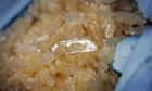 Silk Road drug dealer jailed for five years and two months
