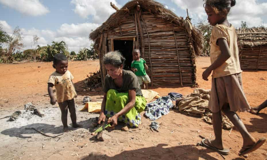 A woman prepares raketa (cactus) to feed her family in famine-hit Madagascar