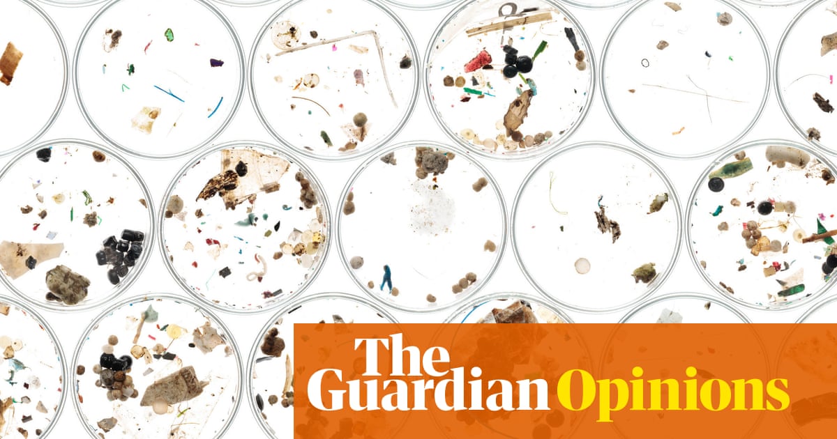 Microplastics in sewage: a toxic combination that is poisoning our land