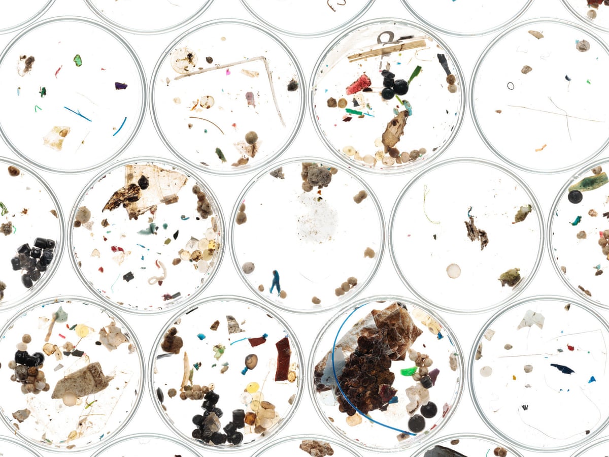 How Worried Should We Be About Microplastics Plastics The Guardian How Worried Should We Be About Microplastics Plastics The Guardian