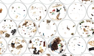 Microplastics are found in our diets, our water and are impacting our environment. Should we be worried?