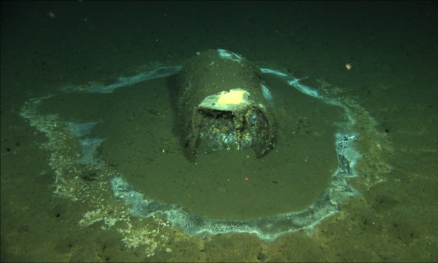 A barrel containing what scientists believe to be DDT waste sits on the ocean floor near the coast of Santa Catalina Island, California. 
