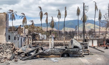 Burned palm trees and destroyed cars and buildings in the aftermath of a wildfire in Lahaina. Dozens of emergency workers have mobilized to aid in the search and recovery.