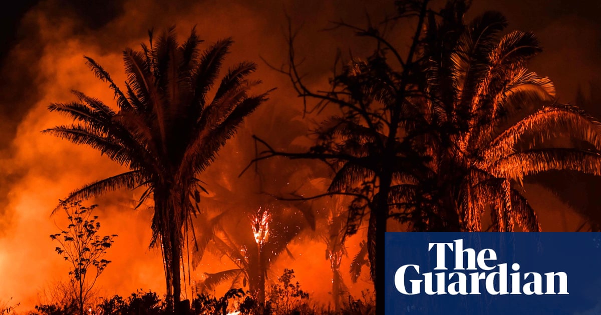 Brazil’s president claims DiCaprio paid for Amazon fires