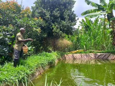 'Ajudou-me a alimentar os meus seis filhos': como o primeiro fundo de água de África apoia os agricultores a...