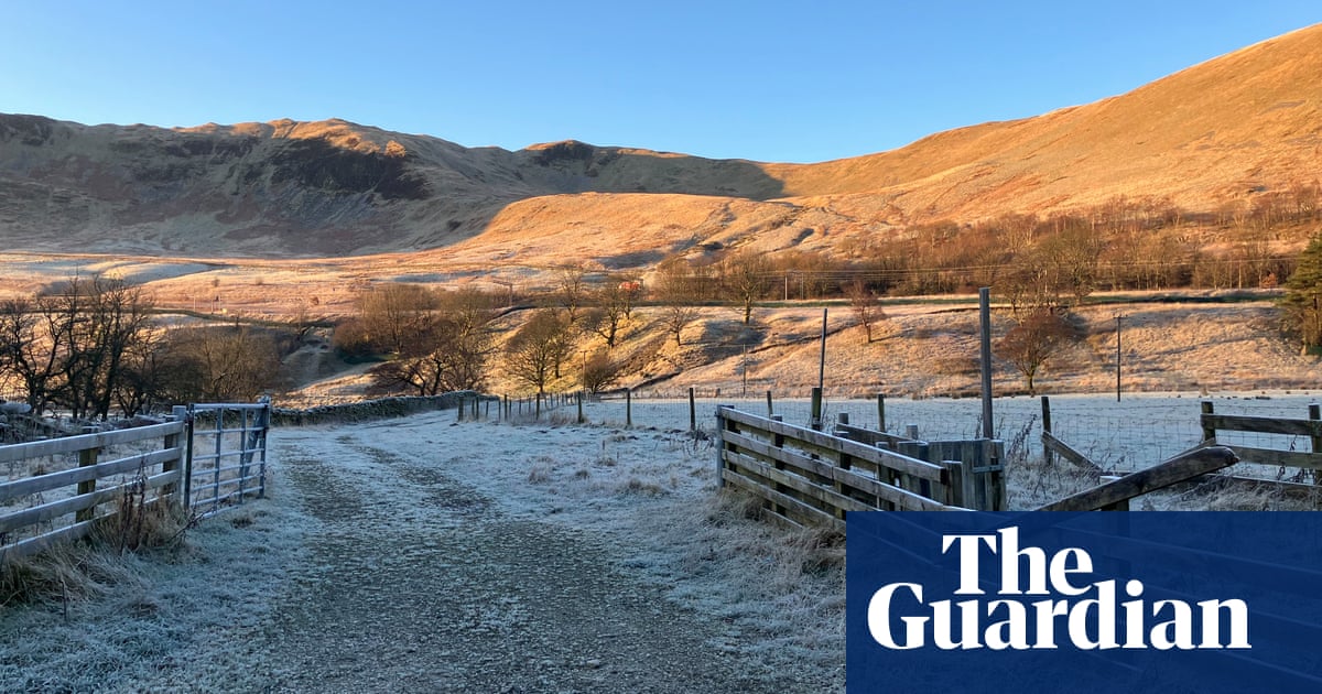 Country diary: A troubling time for this upland farm | Andrea Meanwell