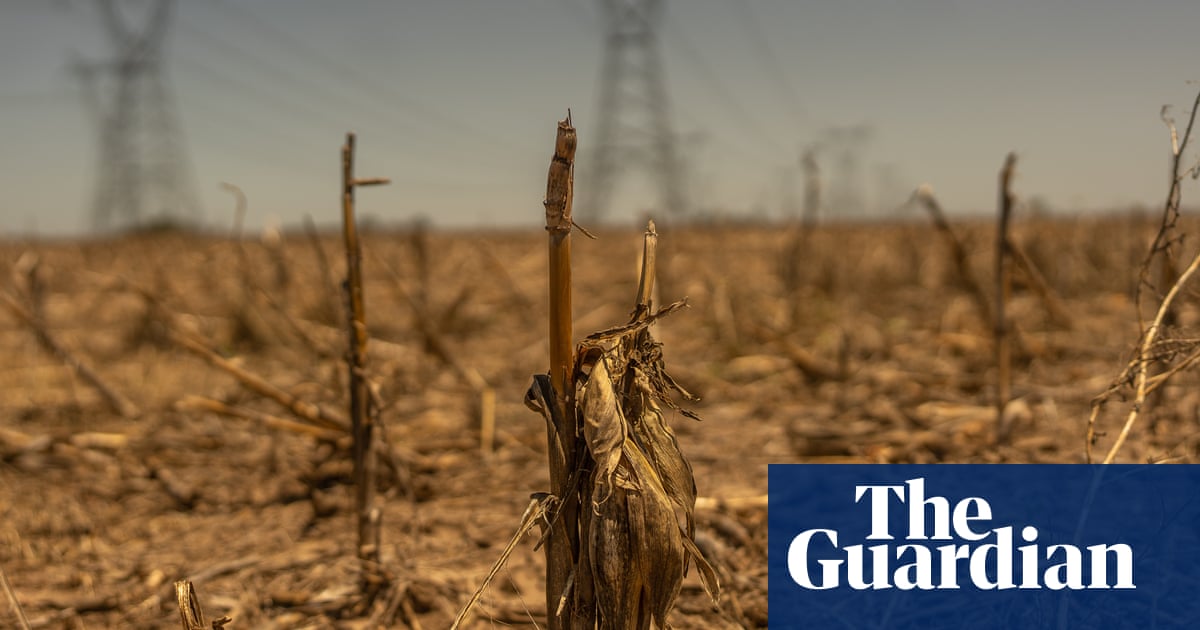Weatherwatch: Flash droughts come on quickly but effects can wreak havoc