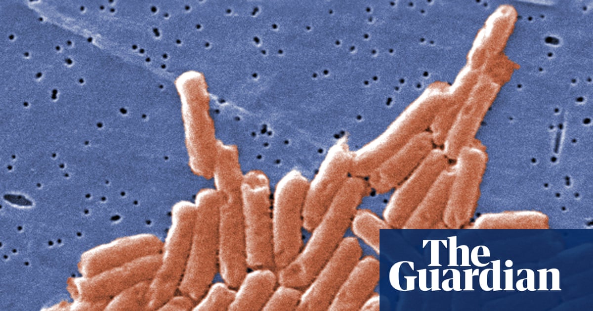 Climate crisis is accelerating antibiotic resistance across world, study says