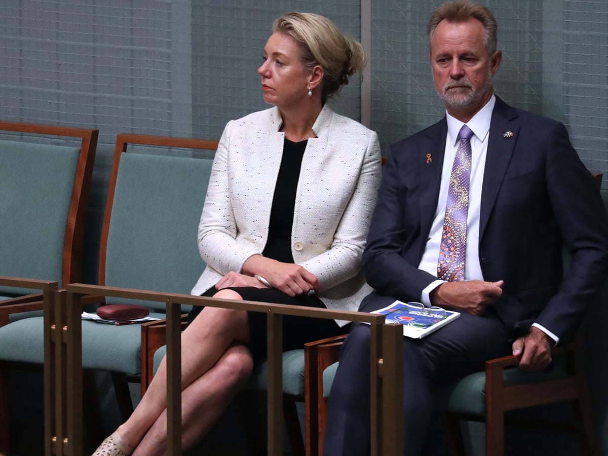 pics Bridget Mckenzie Gun bridget mckenzie granted 500 000 to