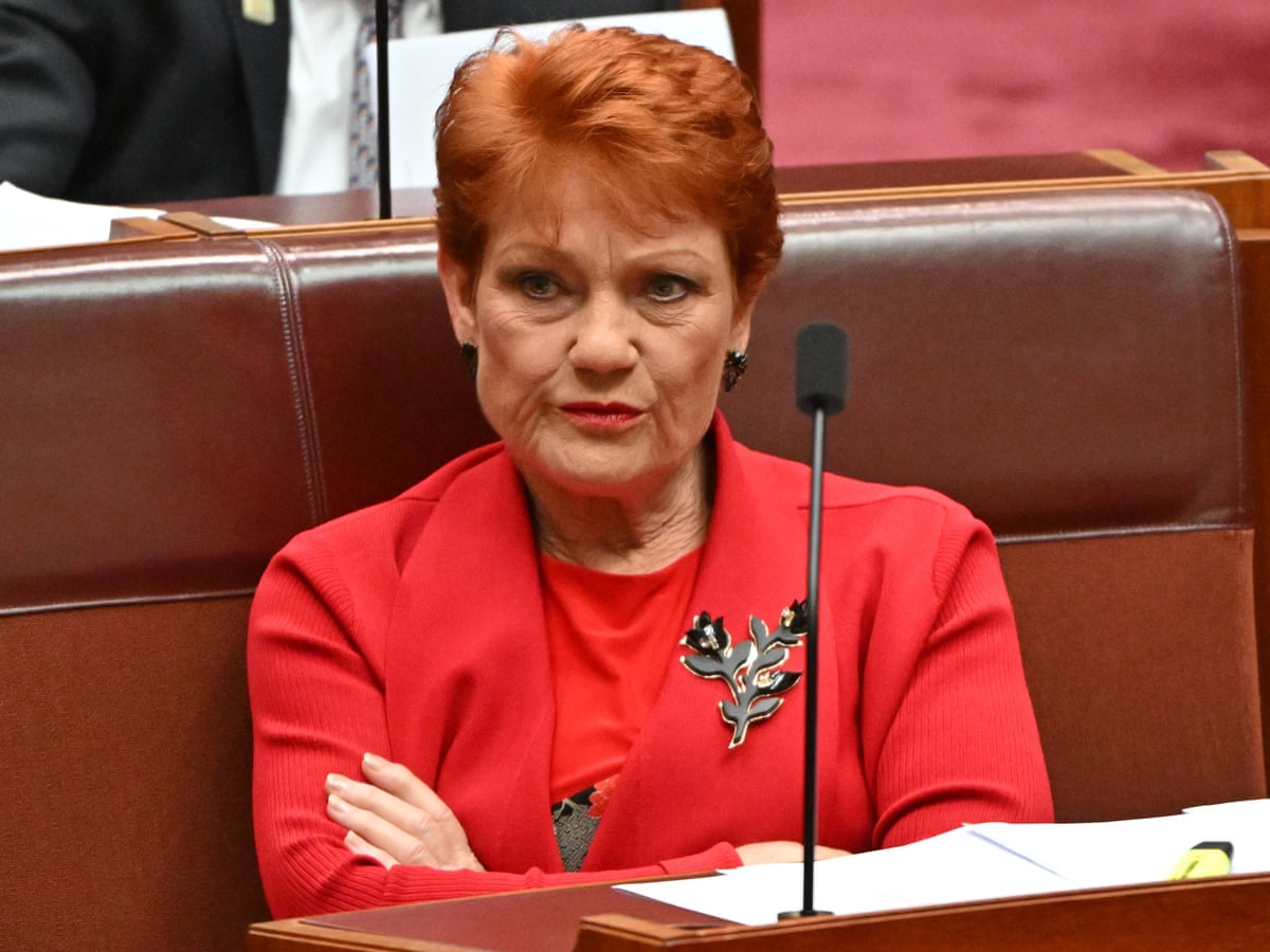 Pauline Hanson branded 'absolute scumbag' during heated parliamentary debate over tweet | Australian politics | The Guardian