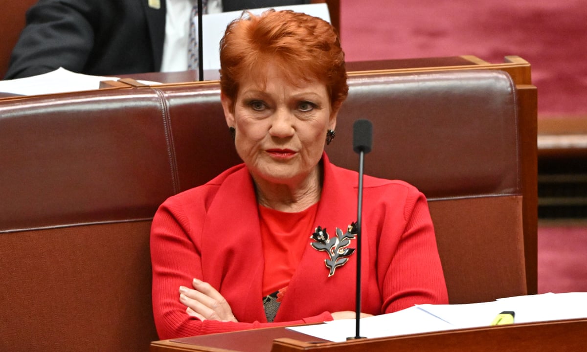 Pauline Hanson ordered to pay $250,000 damages for defaming Brian Burston | Pauline Hanson | The Guardian