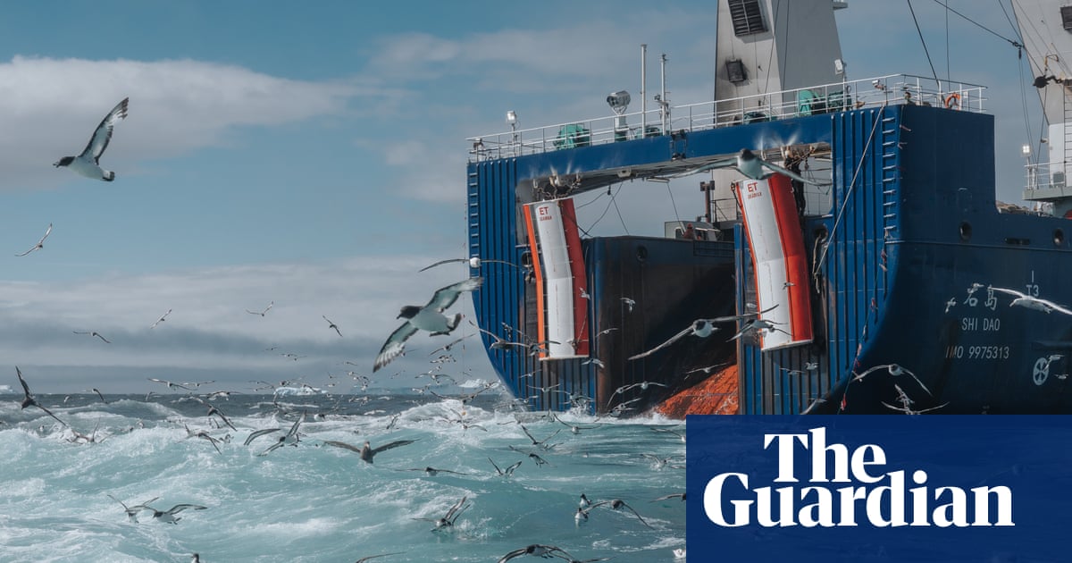 ‘It smells like a rancid fish and chip shop’: at sea with the Antarctic’s krill supertrawlers
