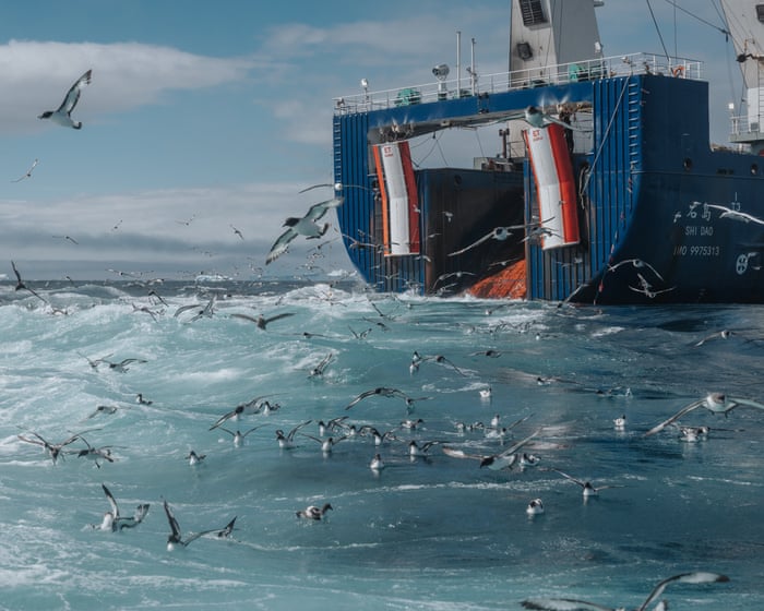 ‘It smells like a rancid fish and chip shop’: at sea with the Antarctic’s krill supertrawlers