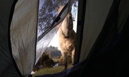 The view from Patrick’s tent in Dartmoor.