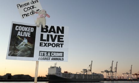 A protest against live sheep export in Fremantle Harbour, Western Australia, in June 2020.