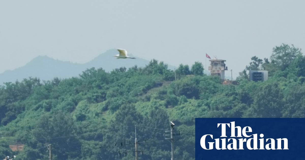 North Korea accuses South Korea of deliberate provocation' after warning shots fired at soldiers on border