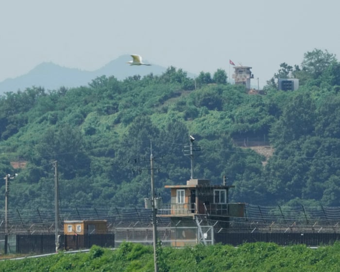 North Korea accuses South Korea of ‘deliberate provocation’ after warning shots fired at soldiers on border