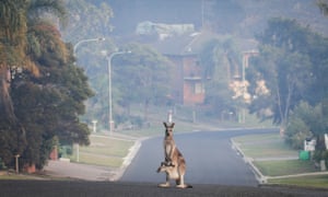 Tathra, on the south coast of NSW, was evacuated in response to encroaching flames in March this year.