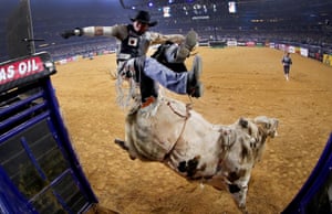 Arlington, Texas: Marco Antonio Eguchi of Brazil gets bucked off Bottoms Up in the first round of the PBR Frontier Communications Iron Cowboy rodeo