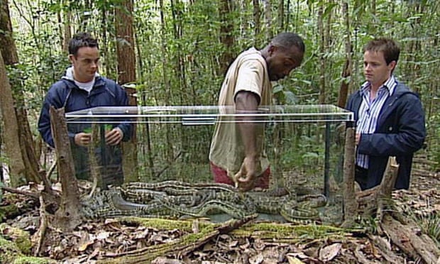 I’m a Celebrity’s first season in 2002: Ant and Dec look on as ex-boxer Nigel Benn undergoes a trial by snake.