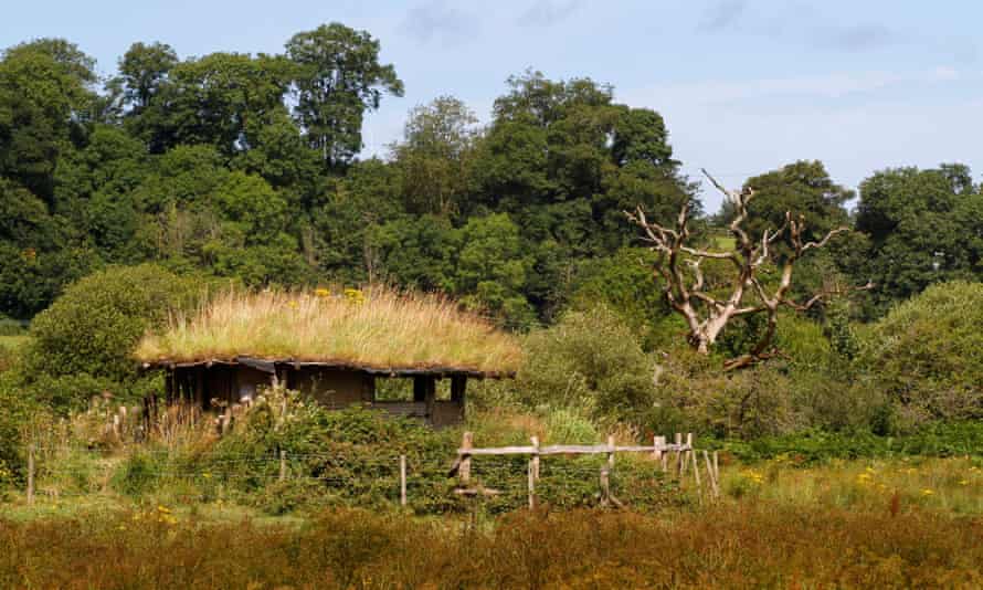 A bird hide on the Teifi Marshes nature reserve.