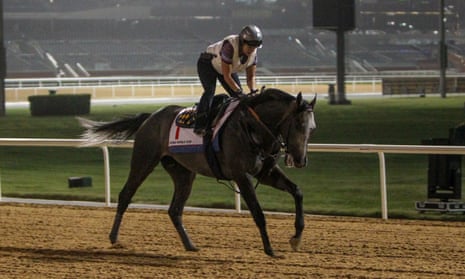 Arrogate is put through his paces during morning trackwork at Meydan this week in preparation for the Dubai World Cup.