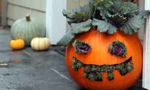 Pumpkin planter for Halloween