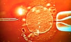 Women are fed up with waiting – and they’re taking fertility into their own hands | Zoe Williams