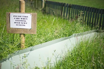 A newt fence and sign erected at a lagoon creation area at Rutland Water in 2010 to ensure that great crested newts were not killed during construction work.