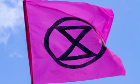 Extinction Rebellion pink flag in blue sky