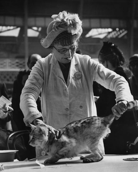 Mrs AH Cattermole examines Sealeigh Grey Knight at the Crystal’s Cat Show at Olympia, London, in 1950.