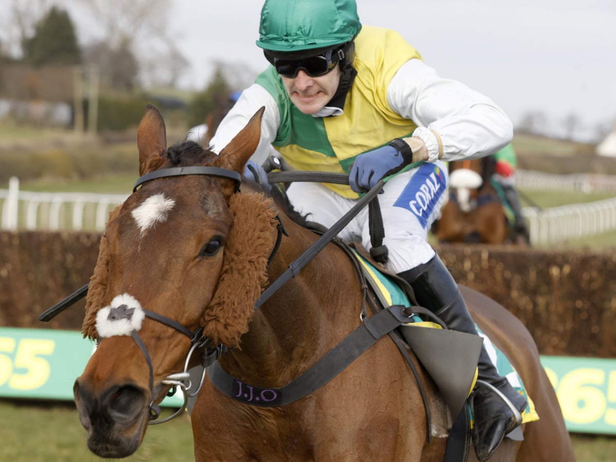 Grand National 21 Horse By Horse Guide To All The Runners Grand National 21 The Guardian
