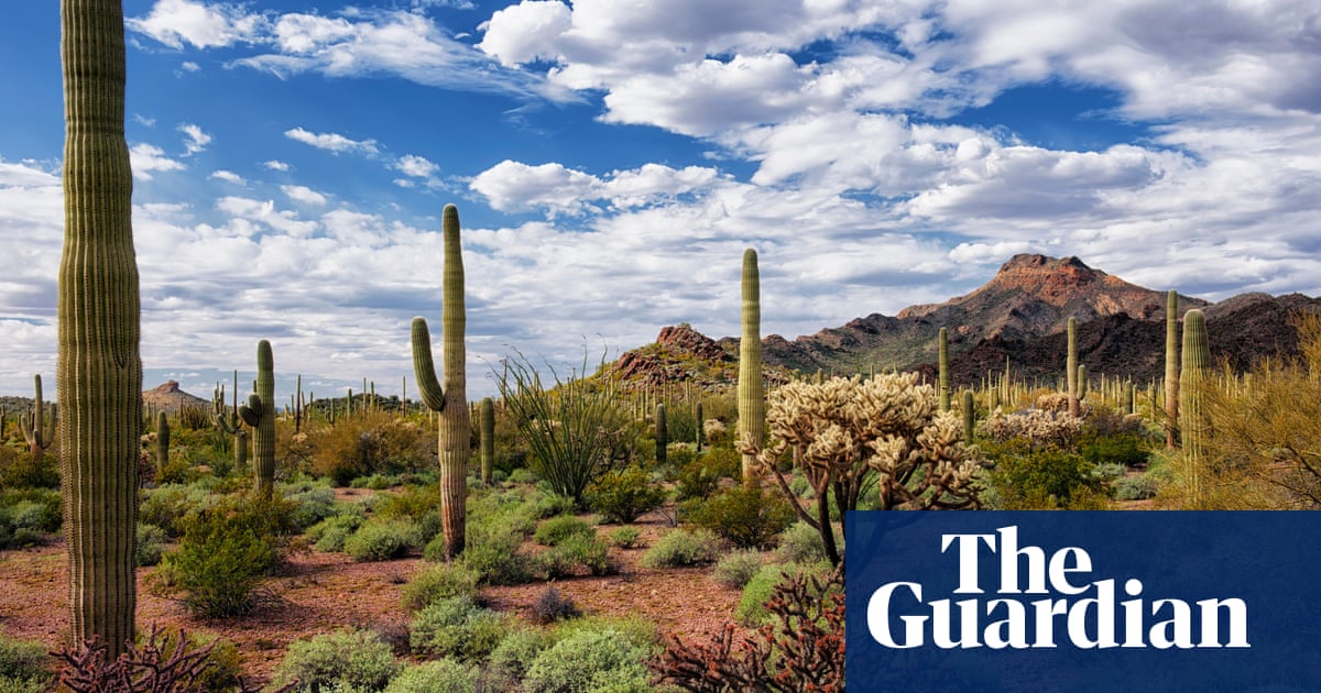 Arizona S Organ Pipe Park Is A Paradise For Tourists But A Death