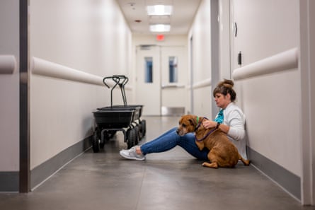 woman sits on floor in hallway next to dog. her hand is on the dog’s back
