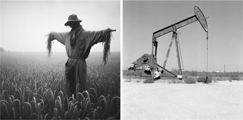 Oaklahoma Scarecrow (left) + We Pray for Oil in Texas (right)Oil is something West Texans are encouraged to pray for, to covet, consume, and treat like a member of the family. There was something balletic about the way the pumps moved and flexed.