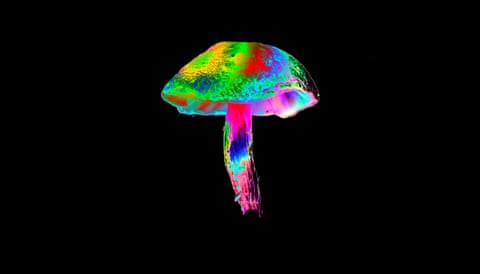 Terence Mckenna Inspired Fungi Amanita Mushroom Shaman Terence Mckenna Inspired Fungi Amanita Mushroom Shaman