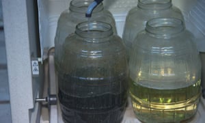 Wastewater being sampled from the sewage treatment plant.