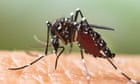Mosquito-borne diseases spreading in Europe due to climate crisis, says expert