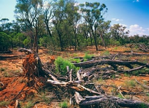 Land clearing in southwestern Queensland, Australia