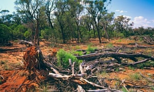 The Queensland government found landholders engaged in the unauthorised clearing of native vegetation.