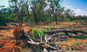 The federal government sought a review of environment laws amid concerns they are placing too great a burden on farmers