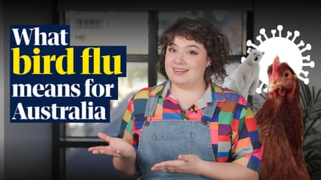 Es gibt mehr als eine Vogelgrippe: Was die jüngsten Ausbrüche für Australien bedeuten – Video